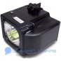 BP96-01653A Replacement Samsung TV Lamp