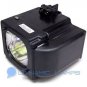 BP96-01653A Replacement Samsung TV Lamp