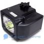 BP96-01653A Replacement Samsung TV Lamp