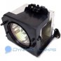 BP96-00224C BP96-00224J Replacement Samsung TV Lamp