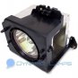 BP96-00224C BP96-00224J Replacement Samsung TV Lamp