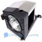 62HM15A D95-LMP D95LMP Replacement Toshiba TV Lamp