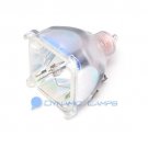 P20 100-120W 1.0 Philips TV Lamp