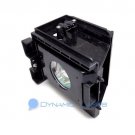 BP96-01073A BP9601073A Samsung TV Lamp