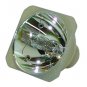 Dell 310-5513 Philips Projector Bare Lamp