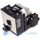 AN-XR10LP ANXR10LP Replacement Lamp for Sharp Projectors