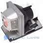 BL-FU220A Replacement Lamp for Optoma Projectors HD6800 HD72i HD73