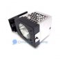 TY-LA2004 TYLA2004 Panasonic TV Lamp