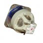 Optoma BL-FU310A Philips Projector Bare Lamp