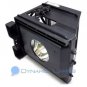 BP96-01403A Replacement Samsung TV Lamp