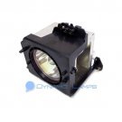 BP96-00224J BP9600224J Samsung Philips TV Lamp