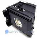 SP61L6HRX/XAP SP61L6HRXXAP BP96-00608A Replacement Samsung TV Lamp