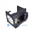 BP96-01795A BP9601795A Samsung TV Lamp