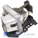 BL-FU185A Replacement Lamp for Optoma Projectors DS216 EW536 HD6700