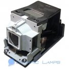 TDP-SB20 75016600 TLP-LW15 TLPLW15 Replacement Lamp for Toshiba Projectors