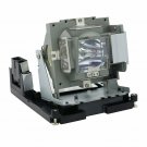 Dynamic Lamps Projector Lamp With Housing for Infocus SP-LAMP-065 Dynamic Lamps Projector Lamp With Housing for Infocus SP-LAMP-065