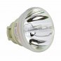 Optoma BL-FP240E Philips Projector Bare Lamp