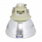 Optoma BL-FP240E Philips Projector Bare Lamp