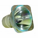Optoma BL-FU190E Philips Projector Bare Lamp