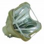 Kindermann CPD-LAMP Philips Projector Bare Lamp