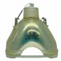 Original Philips Bare Lamp For Epson ELPLP28