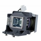 BenQ 5J.JFH05.001 Philips Projector Lamp Module
