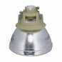 BenQ 5J.J6E05.001 Philips Projector Bare Lamp