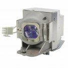 Acer CS.5J1YU.001 Philips Projector Lamp Module