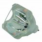 LG 6912B22010A Philips Bare TV Lamp