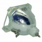 LG 6912B22010A Philips Bare TV Lamp