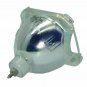 LG 6912B22010A Philips Bare TV Lamp