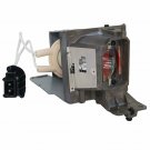 NEC NP40LP Philips Projector Lamp Module