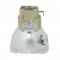 Acer EC.J5500.001 Osram Projector Bare Lamp