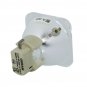 Acer EC.J5500.001 Osram Projector Bare Lamp