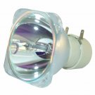 NEC NP35LP  Philips Projector Bare Lamp