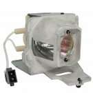 Optoma BL-FP240G  Philips Projector Lamp Module