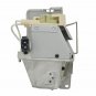 Optoma BL-FP240G  Philips Projector Lamp Module