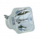 ACTO 1300022500 Ushio Projector Bare Lamp