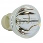 Optoma BL-FP190E Osram Projector Bare Lamp