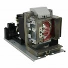 Vivitek 5811118543-SVV Osram Projector Lamp Module
