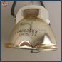 Original Ushio Bare Projector Lamp For Epson ELPLP62