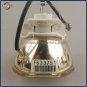 Original Ushio Bare Projector Lamp For Epson ELPLP62