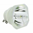 Ushio NSHA250SE Ushio Projector Bare Lamp
