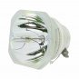 Ushio NSHA250SE Ushio Projector Bare Lamp