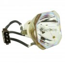 Original Ushio Bare Projector Lamp For Epson ELPLP46