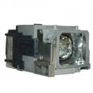 Dynamic Lamps Projector Lamp With Housing for Epson ELPLP65 Dynamic Lamps Projector Lamp With Housing for Epson ELPLP65