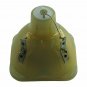 Hitachi DT01001 Philips Projector Bare Lamp