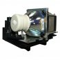 Sony LMP-E211 Compatible Projector Lamp With Housing