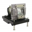 Digital Projection 114-229 Ushio Projector Lamp Module