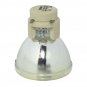 Acer MC.JG211.001 Osram Projector Bare Lamp